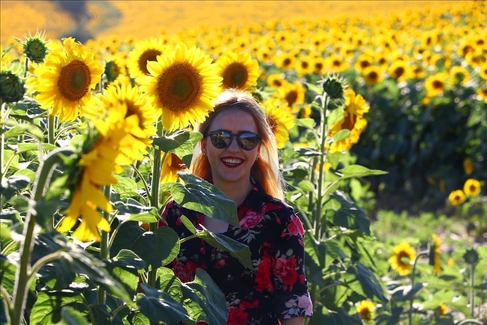 "Sarı gelin"ler fotoğraf tutkunlarını ağırlıyor