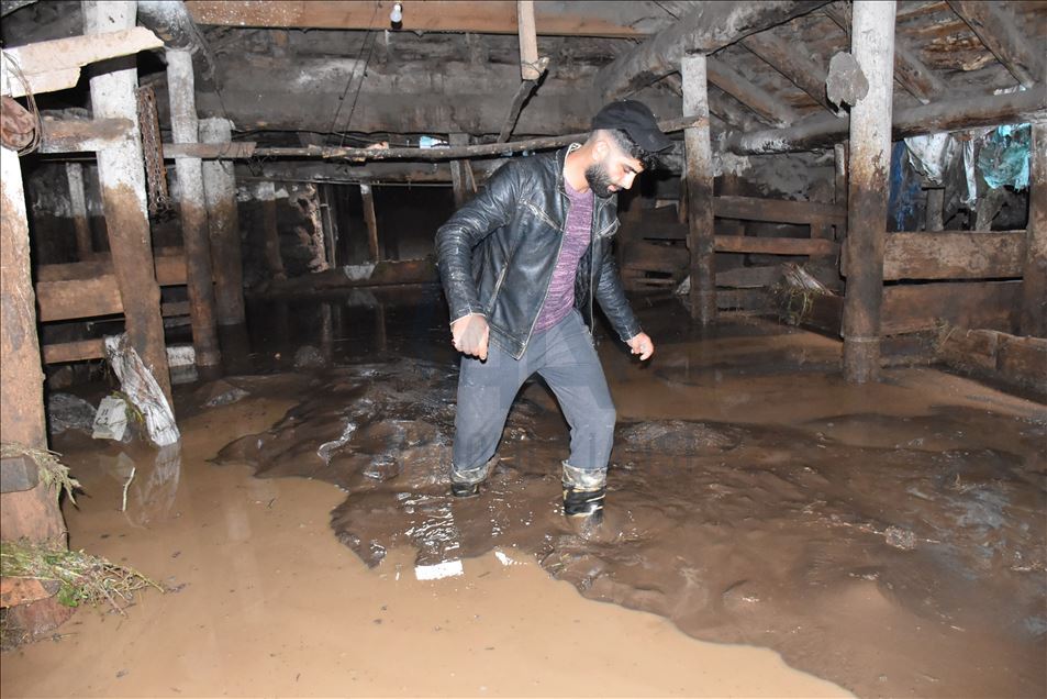 Kars'ta sel nedeniyle evler zarar gördü, hayvanlar telef oldu