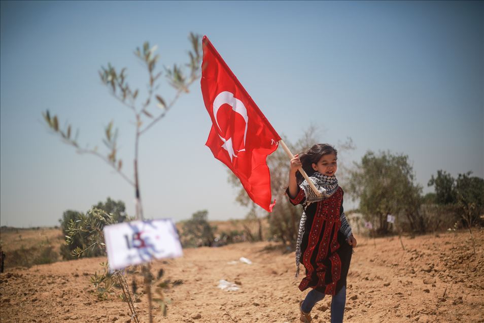 Gazzeli çocuklar, 15 Temmuz şehitleri anısına zeytin fidanı dikti