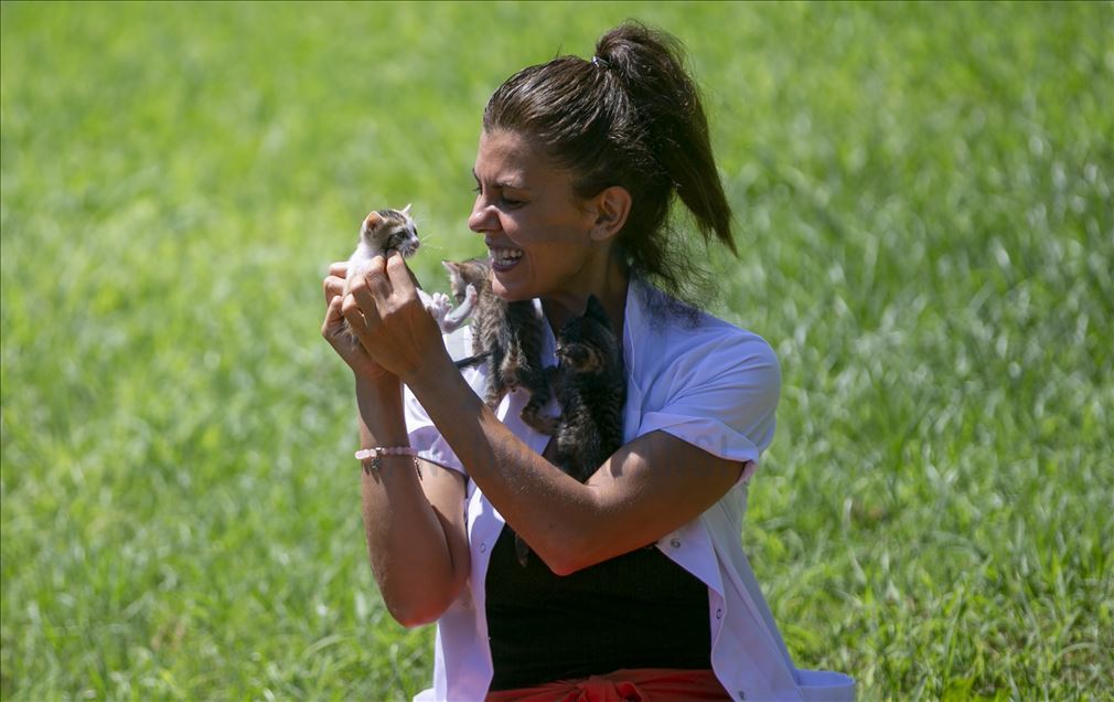 Anne kediler için “stres odaları” hazırlandı