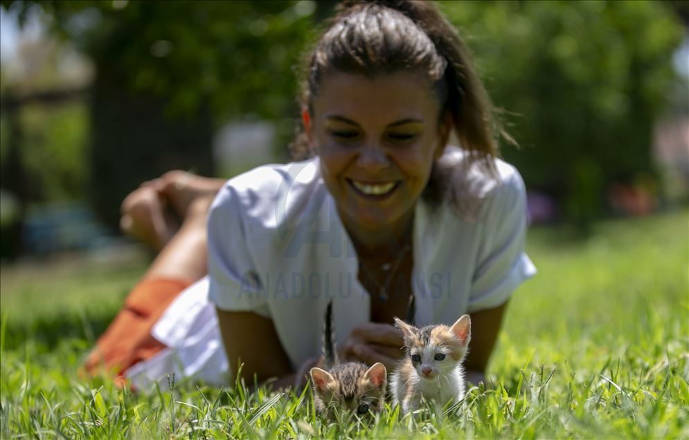 Anne kediler için “stres odaları” hazırlandı