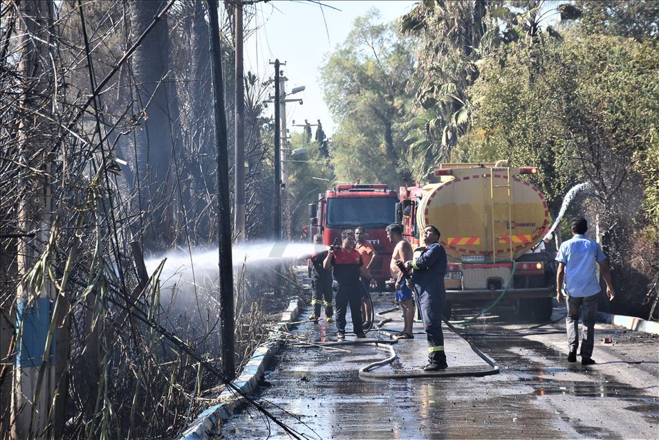 Bodrum'da turistik tesislere sıçrayan yangında 15 kişi yaralandı