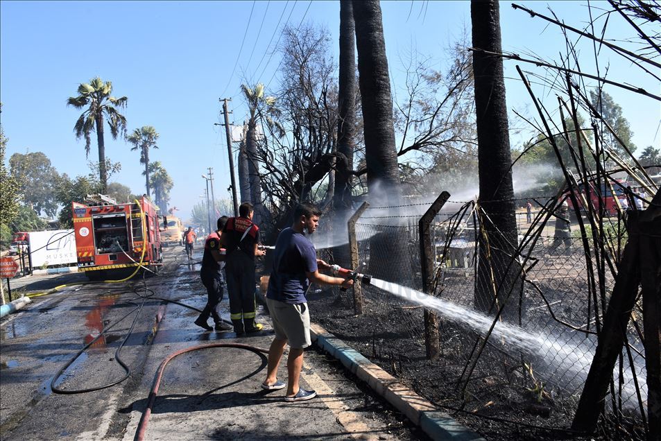 Bodrum'da turistik tesislere sıçrayan yangında 15 kişi yaralandı