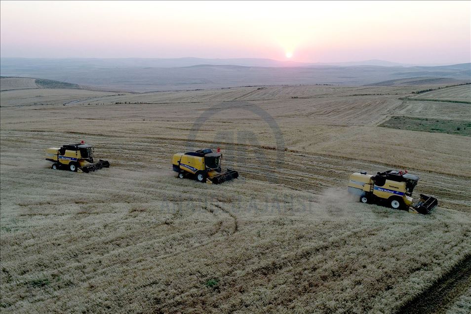 Gölbaşı'nda hasat drone ile görüntülendi