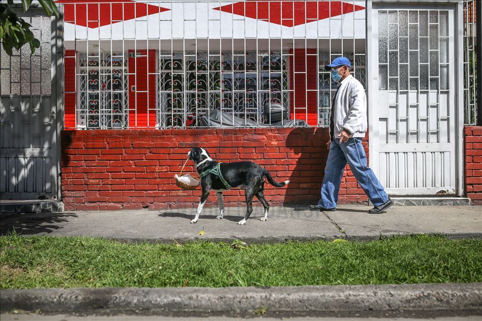 Bogota'da pandemi döneminde sahibine yiyecek götüren köpek; Nino