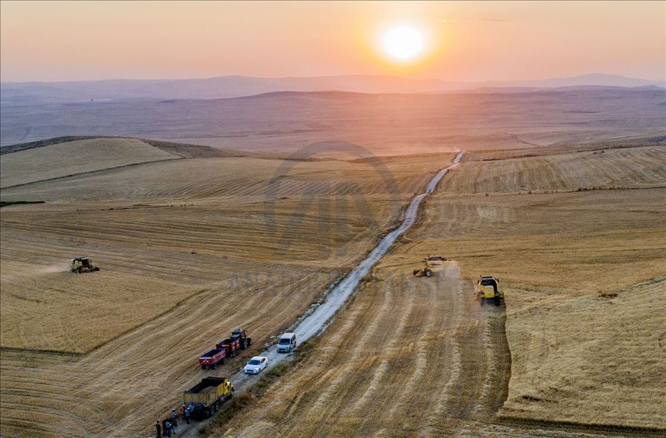 Gölbaşı'nda hasat drone ile görüntülendi