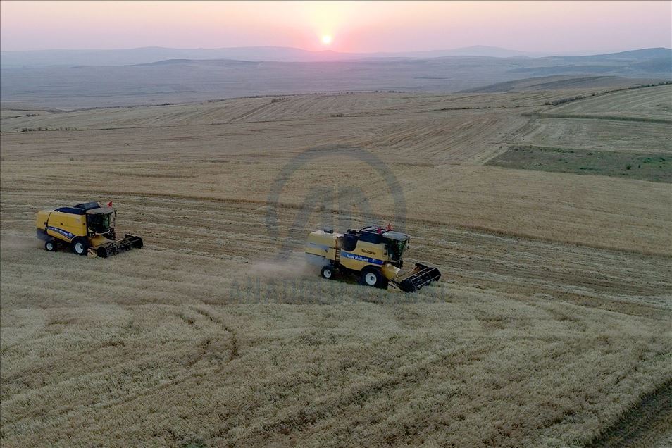 Gölbaşı'nda hasat drone ile görüntülendi