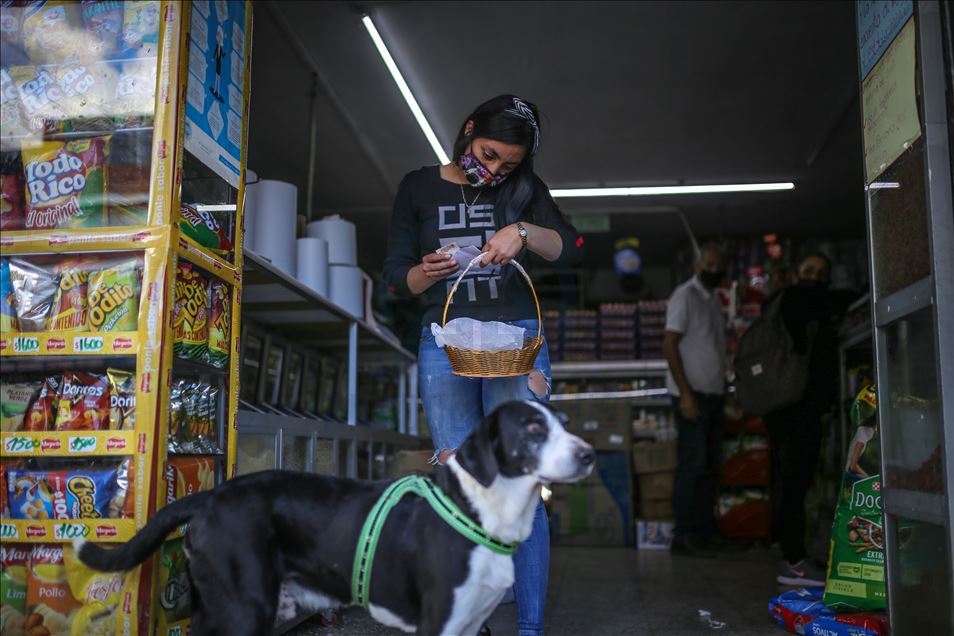 Bogota'da pandemi döneminde sahibine yiyecek götüren köpek; Nino