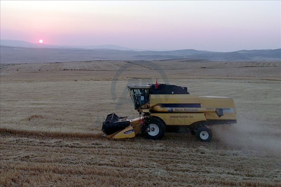 Gölbaşı'nda hasat drone ile görüntülendi