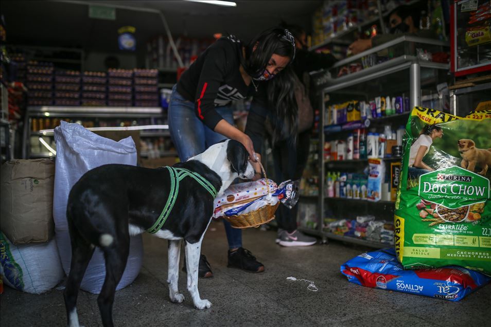 Bogota'da pandemi döneminde sahibine yiyecek götüren köpek; Nino