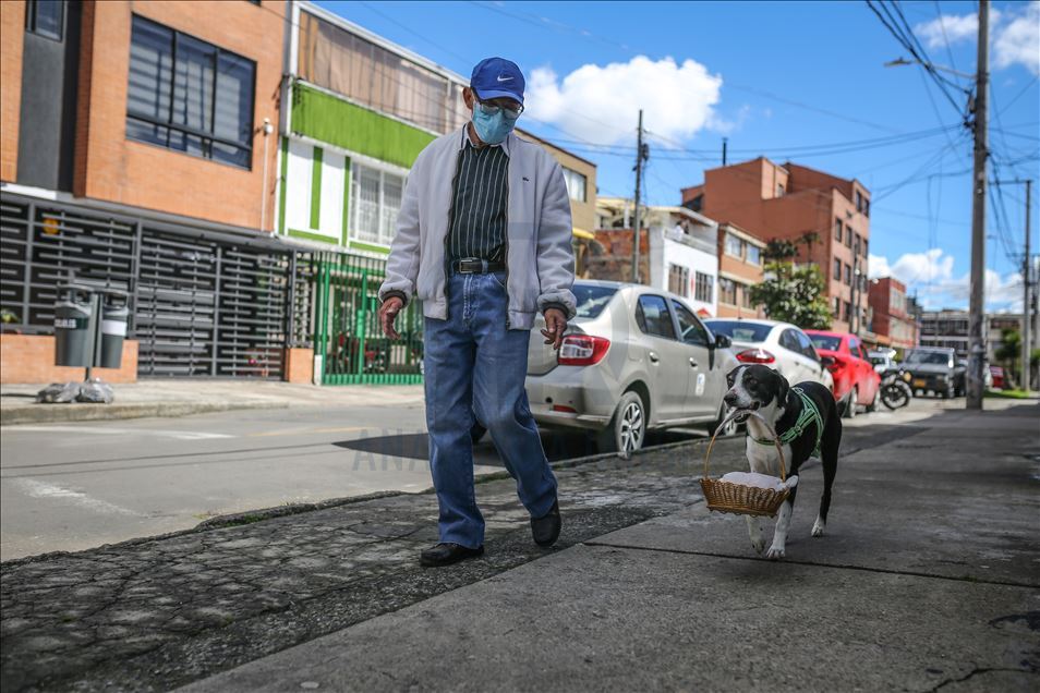 Bogota'da pandemi döneminde sahibine yiyecek götüren köpek; Nino