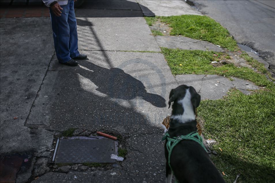 Bogota'da pandemi döneminde sahibine yiyecek götüren köpek; Nino