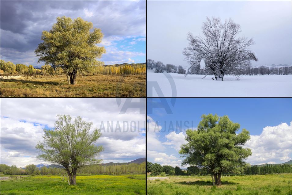 Tunceli'nin Ovacık ilçesi 4 mevsim çekilen fotoğraflarıyla büyülüyor