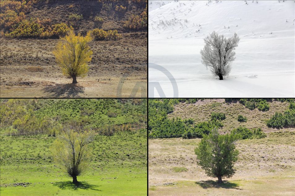 Tunceli'nin Ovacık ilçesi 4 mevsim çekilen fotoğraflarıyla büyülüyor