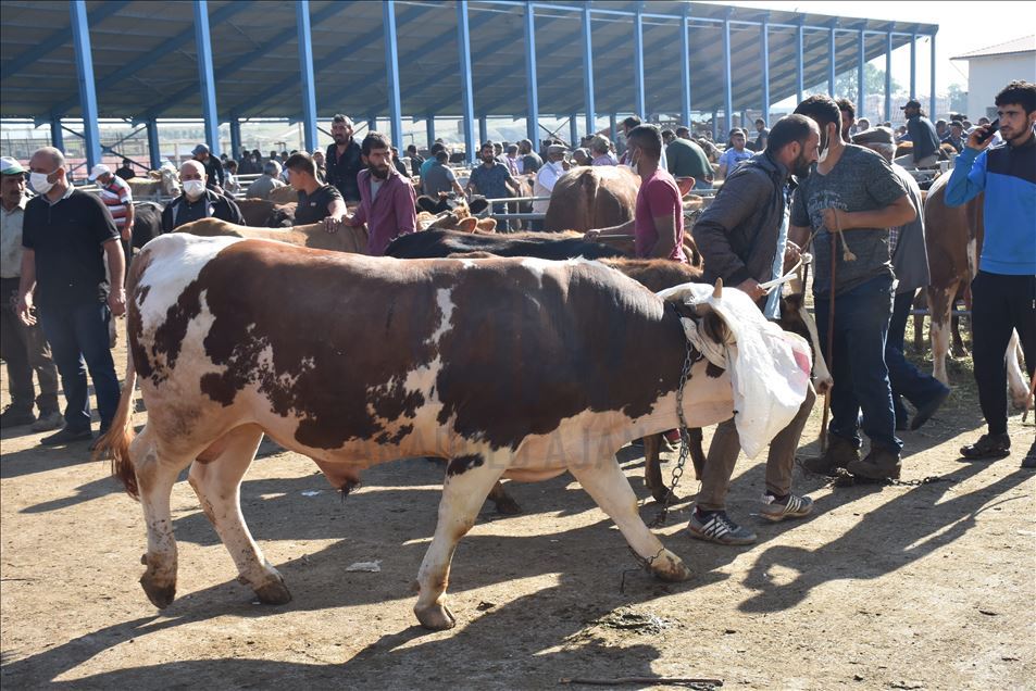 Canegayên ji tonekî zêdetir giran in benda mişteriyên xwe ne