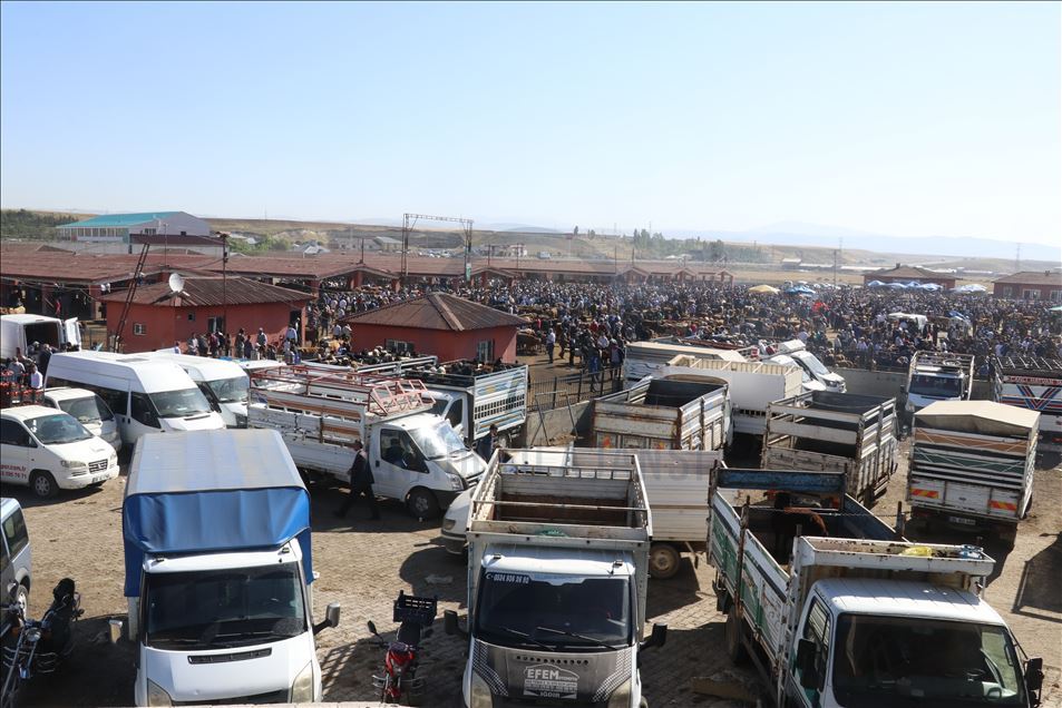 Li Agiriyê canege "Bala" û "Bozo" ku her yek jê tonek tê li benda firotinê ne
