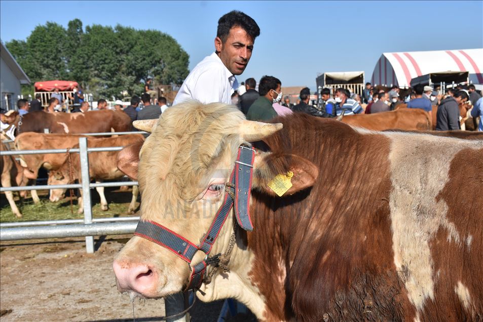 Canegayên ji tonekî zêdetir giran in benda mişteriyên xwe ne