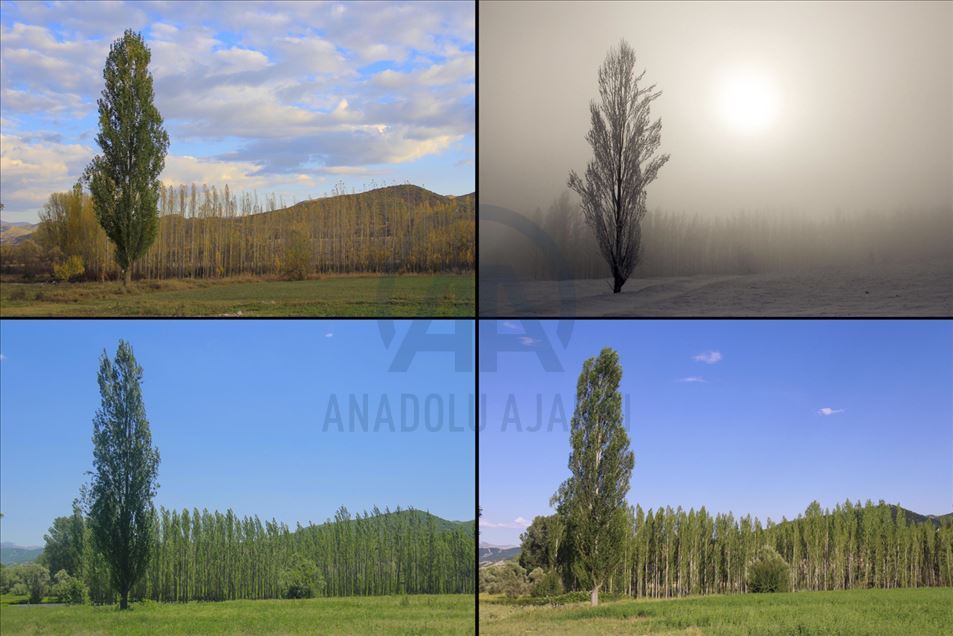 Las cuatro estaciones en Tunceli, Turquía