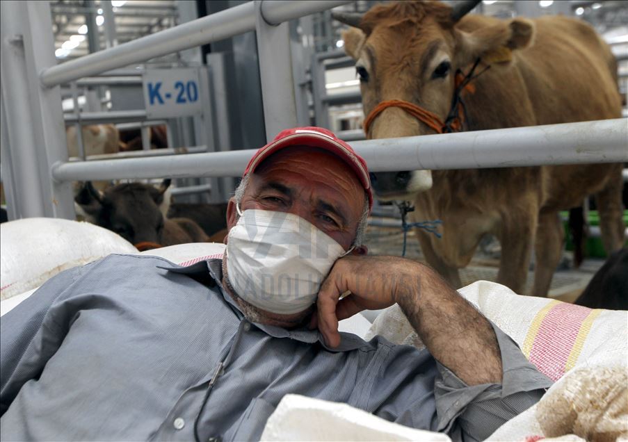Li Rojhilatê Anadoluyê sewqiyeta heywanên qurbanê digel Kovîd-19ê zêde bû
