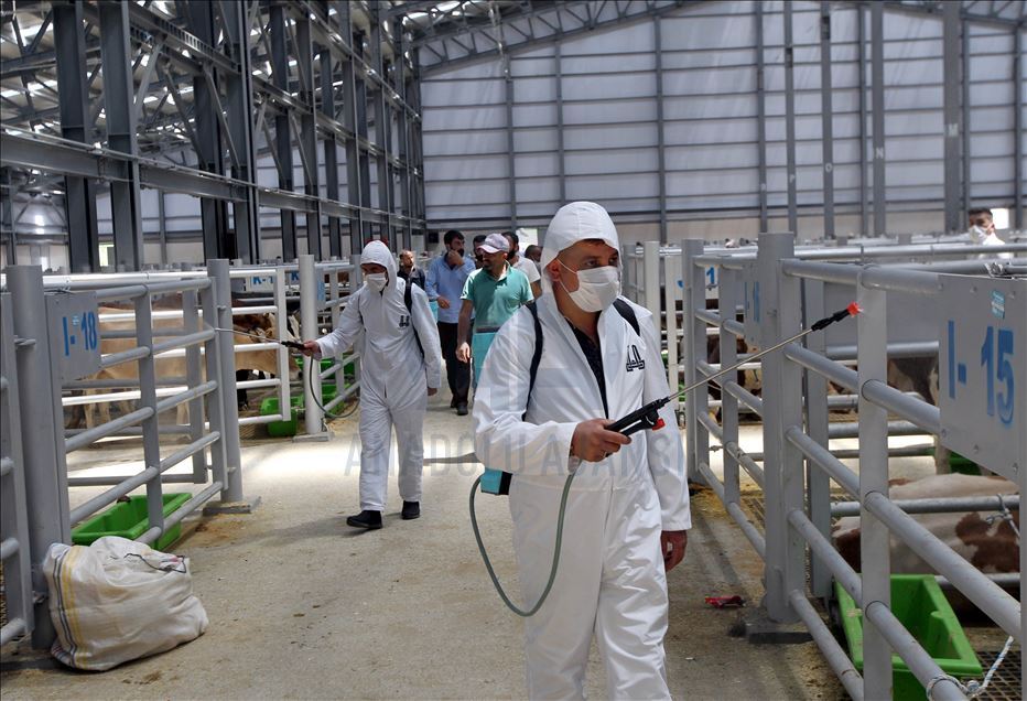 Li Rojhilatê Anadoluyê sewqiyeta heywanên qurbanê digel Kovîd-19ê zêde bû
