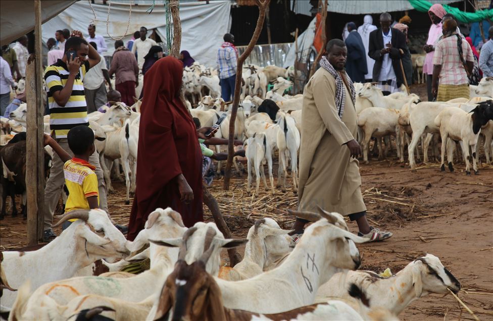 Eid al-Adha preparations in Somalia
