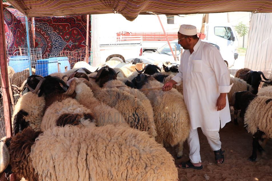 The economy, worsened with Hafter attacks in Tripoli also reflected in sacrificial animal sales