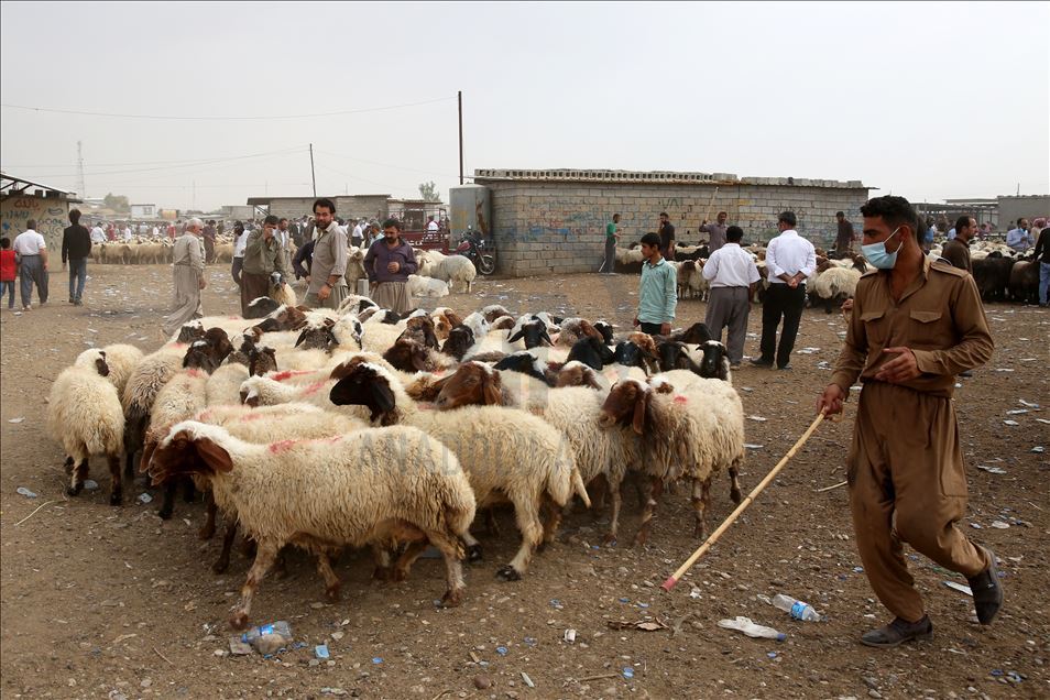 Eid al-Adha preparations in Iraq