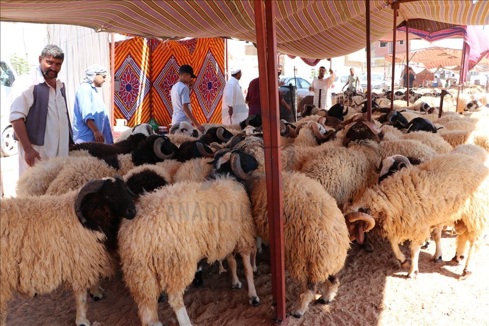 The economy, worsened with Hafter attacks in Tripoli also reflected in sacrificial animal sales