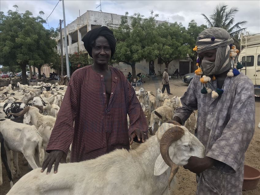 Eid al-Adha preparations in Senegal