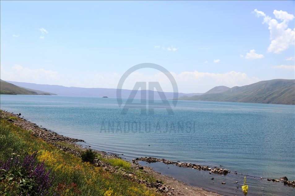 Kesên dixwazin ji teşqeleya bajêr dûr bikevin berê xwe didin Gola Masî
