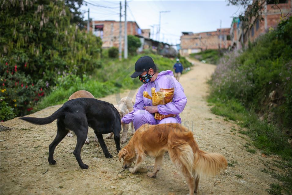 Bogota'da sokak hayvanlarına destek