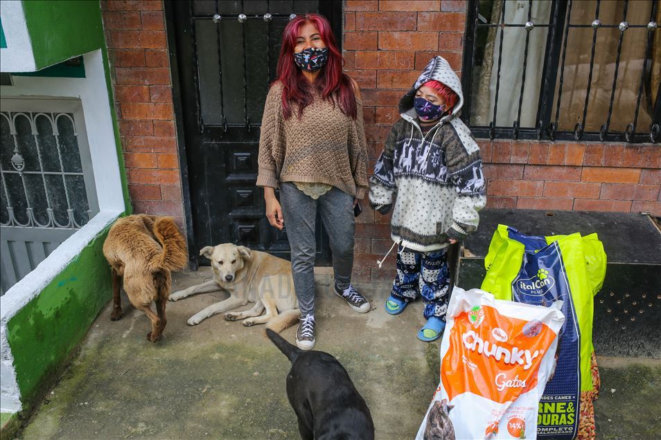 Bogota'da sokak hayvanlarına destek