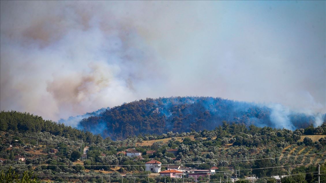 İzmir'in Menderes ilçesinde orman yangını çıktı
