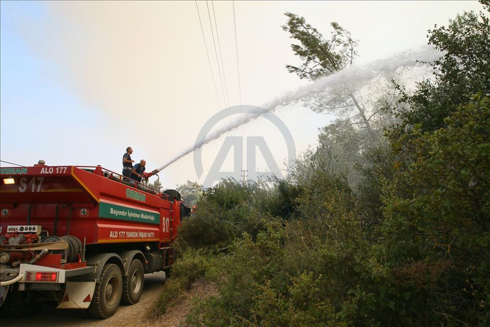 Suriyeli Hasan el-Hasan, İzmir'deki yangını söndürmek için avuçlarıyla toprak taşıdı
