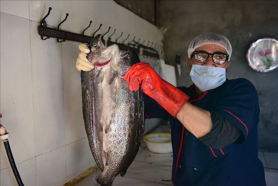 بەمەبەستی راکێشانی گەشتیار بۆ گوندەکەیان پرۆژەیەکی گەشتیارییان لەسەر لووتکەی شاخ کردۆتەوە