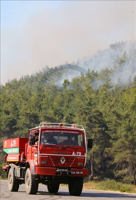 İzmir'in Menderes ilçesinde orman yangını çıktı
