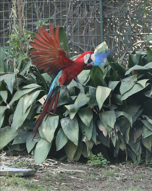 Faruk Yalcin Zoo and Botanic Park in Turkey's Kocaeli