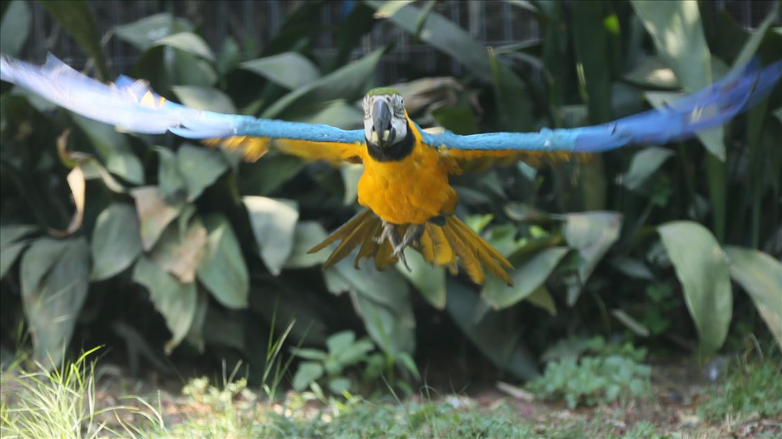 Faruk Yalcin Zoo and Botanic Park in Turkey's Kocaeli