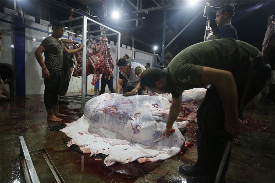 ترکیه بین 4500 خانواده نیازمند فلسطینی گوشت قربانی توزیع کرد