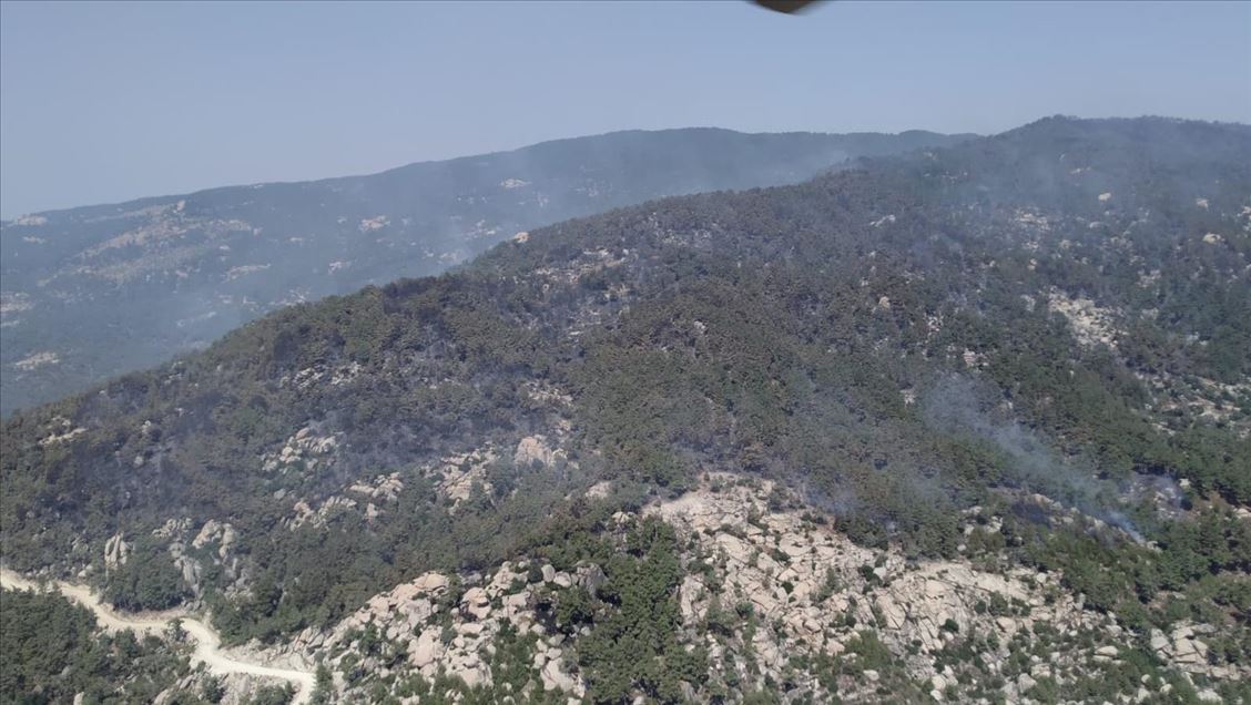 Aydın'da başlayıp Muğla'ya kadar ulaşan orman yangını kısmen kontrol altına alındı