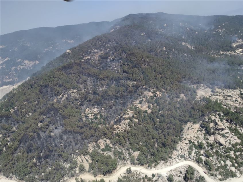 Aydın'da başlayıp Muğla'ya kadar ulaşan orman yangını kısmen kontrol altına alındı