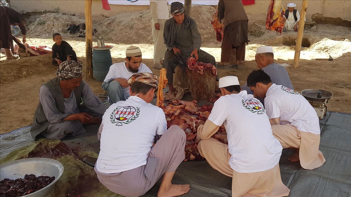 ترکیه در فاریاب افغانستان گوشت قربانی توزیع کرد
