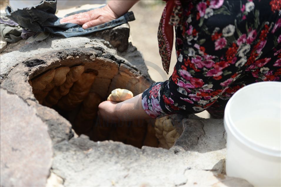 Mezopotamya'nın "en eski buğday tohumu" ekmek oldu
