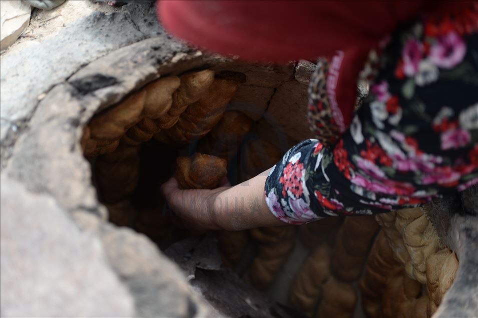 Mezopotamya'nın "en eski buğday tohumu" ekmek oldu