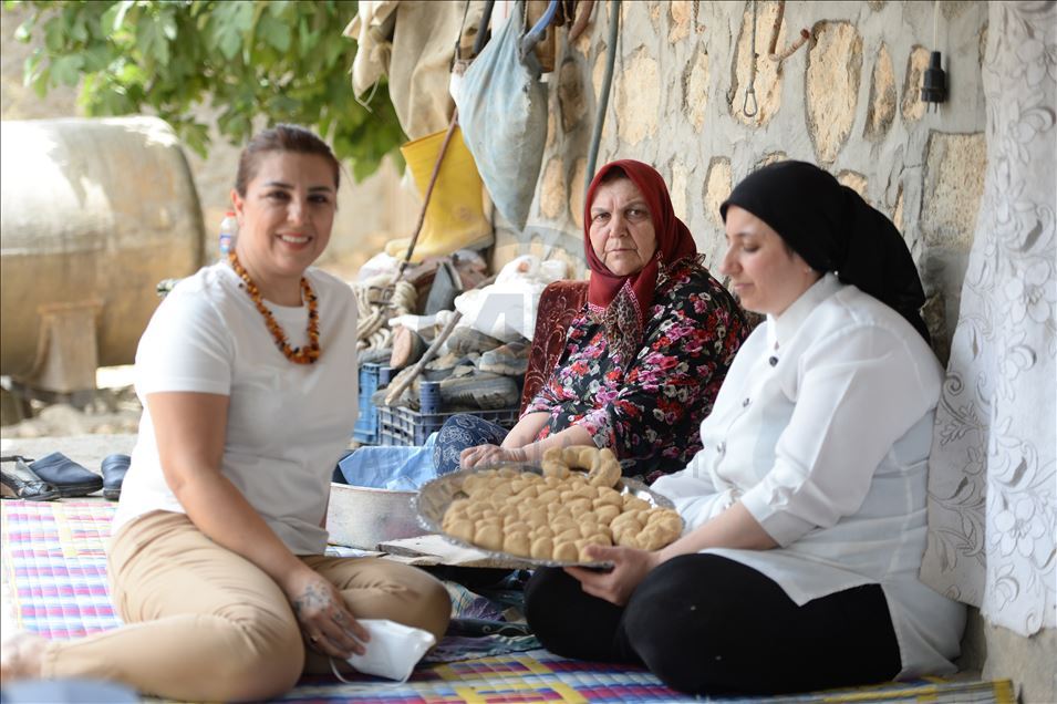 Mezopotamya'nın "en eski buğday tohumu" ekmek oldu