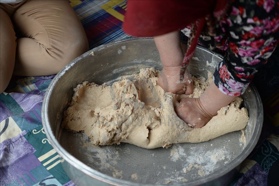 Mezopotamya'nın "en eski buğday tohumu" ekmek oldu