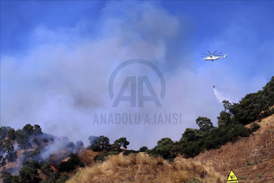 Aydın'da zeytin ve incir ağaçlarının bulunduğu alanda yeniden yangın çıktı
