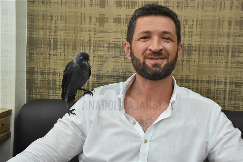 Dostaniya qara ku parêzer birîndar dît û parêzer merivan metel dihêle