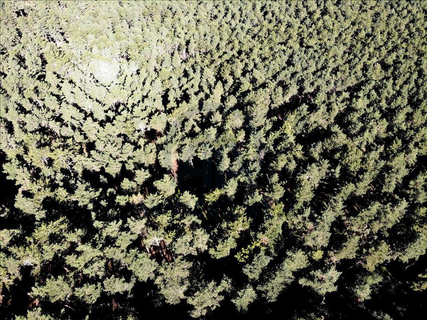 تستعد منطقة "جبل التركمان" في ولاية