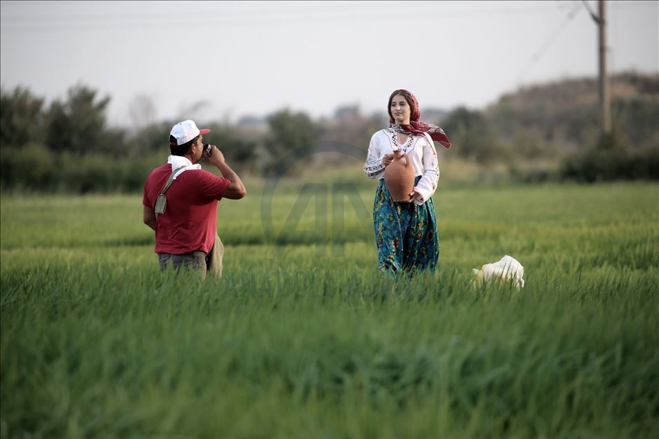 Edirne'de çeltik tarlası fotoğrafçılara doğal stüdyo oldu